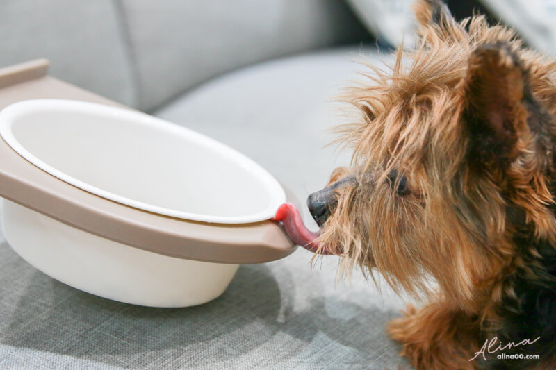 【狗飼料】寶多福健康犬餐熟齡小型犬，寵物食品推薦 @Alina 愛琳娜