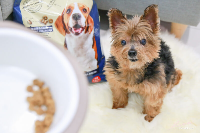 【狗飼料】寶多福健康犬餐熟齡小型犬,寵物食品推薦 @Alina 愛琳娜 【狗飼料】寶多福健康犬餐熟齡小型犬,寵物食品推薦 @Alina 愛琳娜