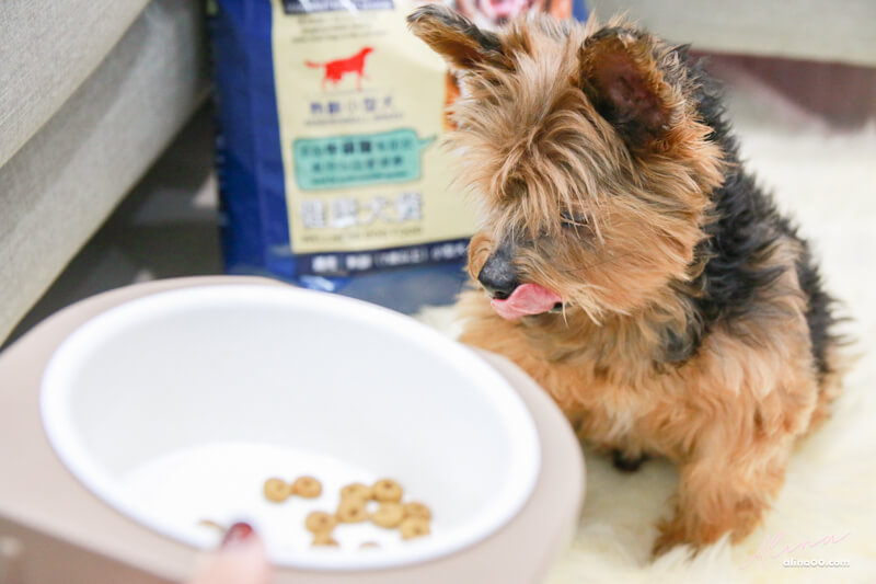 【狗飼料】寶多福健康犬餐熟齡小型犬,寵物食品推薦 @Alina 愛琳娜 【狗飼料】寶多福健康犬餐熟齡小型犬,寵物食品推薦 @Alina 愛琳娜