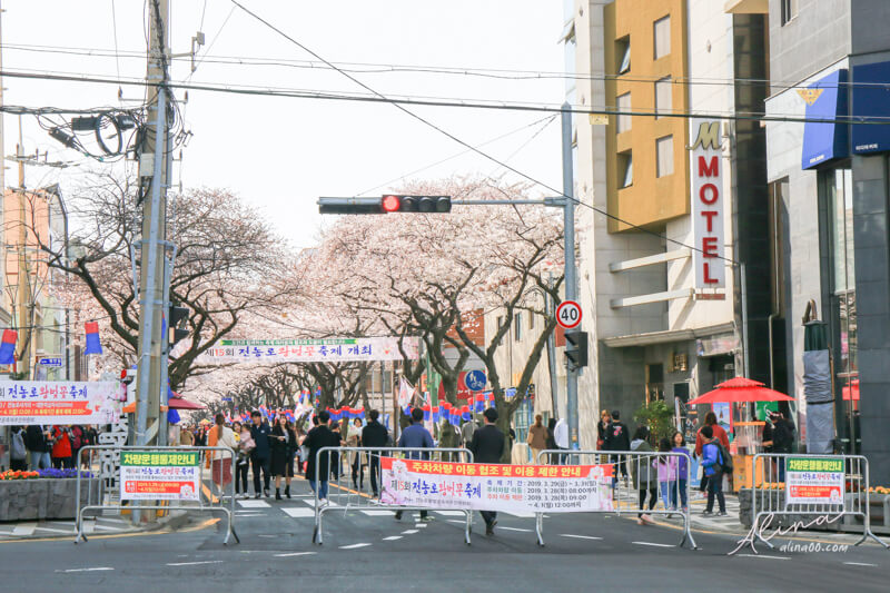 【濟州島櫻花景點】典農路-櫻花節慶典櫻花道路,櫻花滿開的浪漫 @Alina 愛琳娜 【濟州島櫻花景點】典農路-櫻花節慶典櫻花道路,櫻花滿開的浪漫 @Alina 愛琳娜