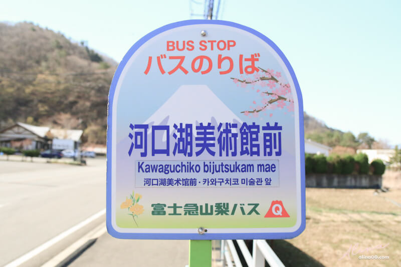 【日本景點】富士山 河口湖 交通一日游攻略，富士山櫻花景點推薦 @Alina 愛琳娜