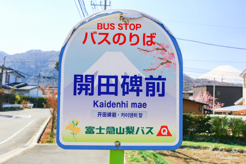 【日本景點】富士山 河口湖 交通一日游攻略，富士山櫻花景點推薦 @Alina 愛琳娜