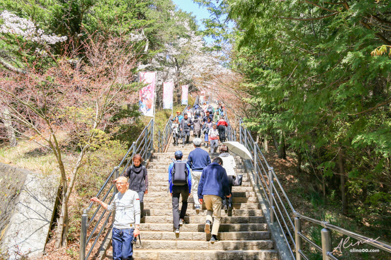 【日本景點】新倉富士淺間神社｜富士山櫻花交通、新倉山淺間公園 @Alina 愛琳娜