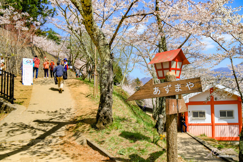 【日本景點】新倉富士淺間神社｜富士山櫻花交通、新倉山淺間公園 @Alina 愛琳娜