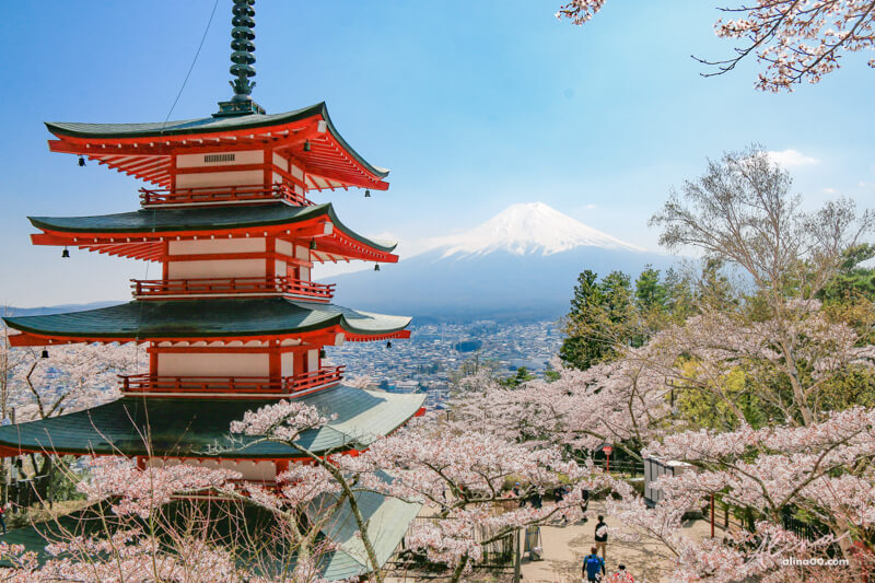 【日本景點】新倉富士淺間神社｜富士山櫻花交通、新倉山淺間公園 @Alina 愛琳娜