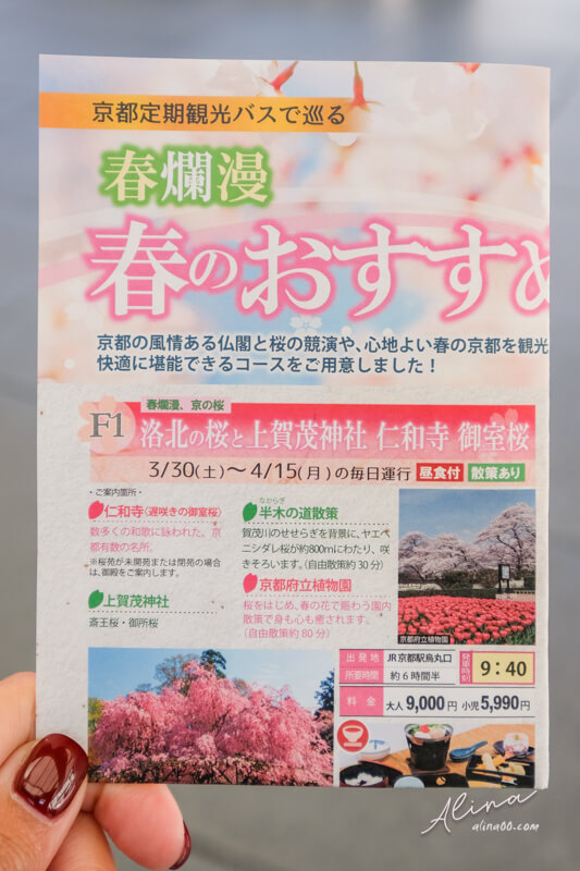 【關西自由行】京都櫻花景點一日遊 行程，搭京都觀光巴士賞櫻 @Alina 愛琳娜