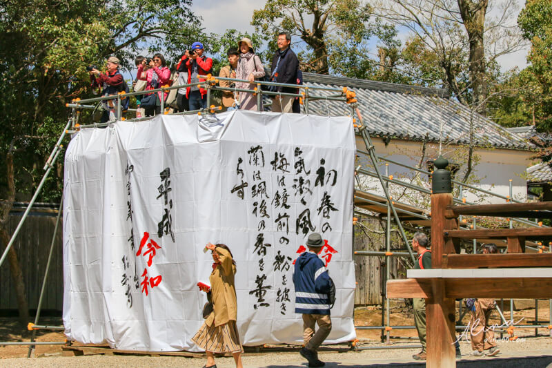 【關西自由行】京都櫻花景點一日遊 行程，搭京都觀光巴士賞櫻 @Alina 愛琳娜