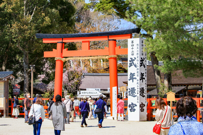 【關西自由行】京都櫻花景點一日遊 行程，搭京都觀光巴士賞櫻 @Alina 愛琳娜