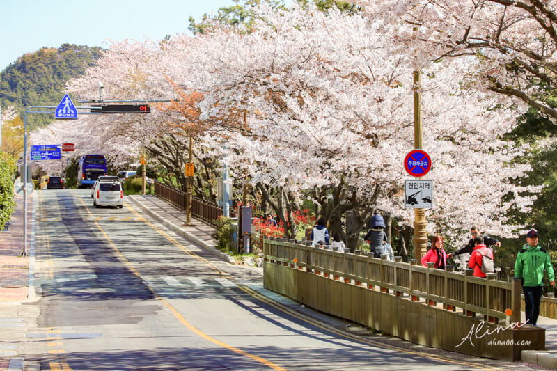 釜山 HILL SPA 迎月路海景汗蒸幕,VBP通行證門票免費 @Alina 愛琳娜 釜山 HILL SPA 迎月路海景汗蒸幕,VBP通行證門票免費 @Alina 愛琳娜