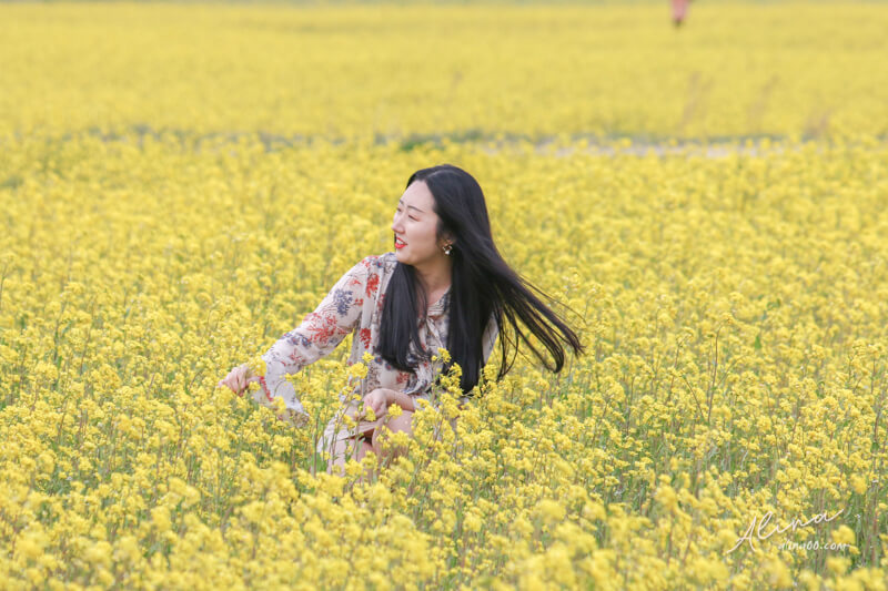 【釜山景點】韓國 釜山櫻花一日遊 行程，在地人推薦釜山賞櫻景點 @Alina 愛琳娜