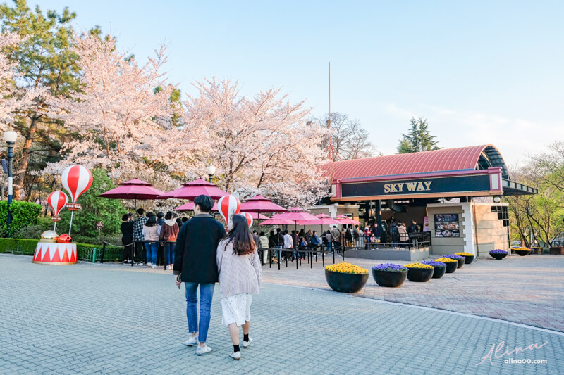 【大邱景點】E-World 大邱83塔:韓國遊樂園+星光櫻花節春季限定 @Alina 愛琳娜 【大邱景點】E-World 大邱83塔:韓國遊樂園+星光櫻花節春季限定 @Alina 愛琳娜