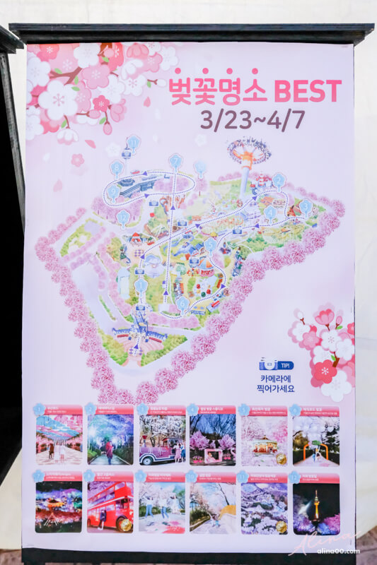 【大邱景點】E-World 大邱83塔:韓國遊樂園+星光櫻花節春季限定 @Alina 愛琳娜 【大邱景點】E-World 大邱83塔:韓國遊樂園+星光櫻花節春季限定 @Alina 愛琳娜
