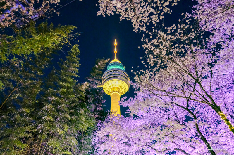 釜山景點推薦2026》釜山好玩景點地圖攻略，輕鬆規劃一日遊行程 @Alina 愛琳娜