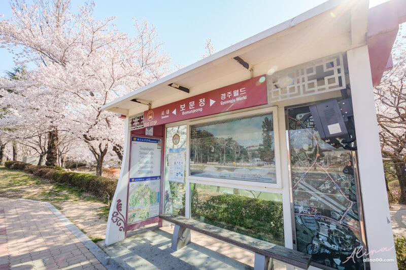 【慶州景點】慶州普門觀光園區：慶州塔EXPO公園.普門亭.水車廣場 @Alina 愛琳娜