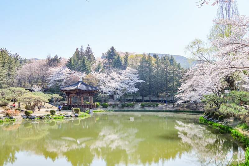 【慶州景點】慶州普門觀光園區：慶州塔EXPO公園.普門亭.水車廣場 @Alina 愛琳娜