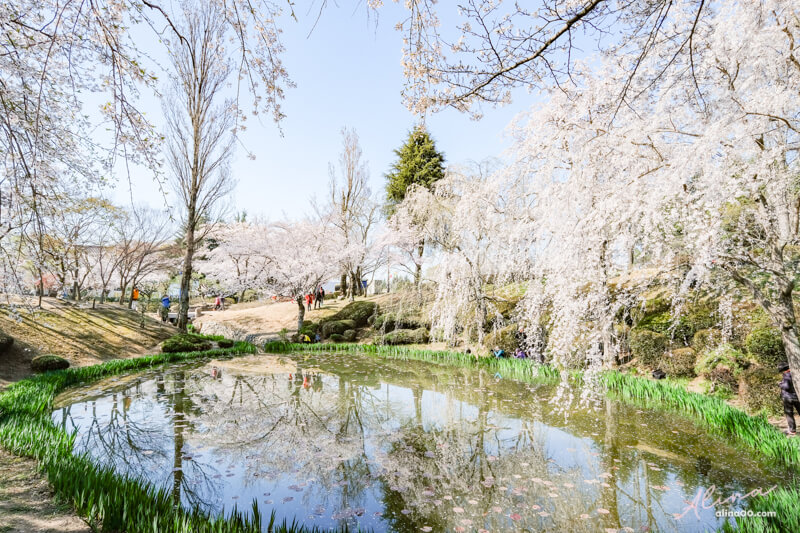 【慶州景點】慶州普門觀光園區：慶州塔EXPO公園.普門亭.水車廣場 @Alina 愛琳娜