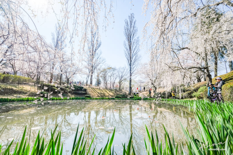 【慶州景點】慶州普門觀光園區：慶州塔EXPO公園.普門亭.水車廣場 @Alina 愛琳娜