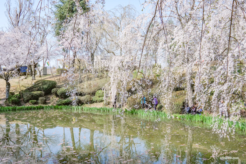 【慶州景點】慶州普門觀光園區：慶州塔EXPO公園.普門亭.水車廣場 @Alina 愛琳娜