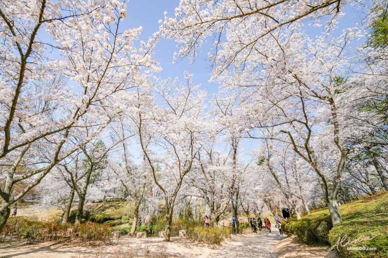 【慶州景點】慶州普門觀光園區：慶州塔EXPO公園.普門亭.水車廣場 @Alina 愛琳娜
