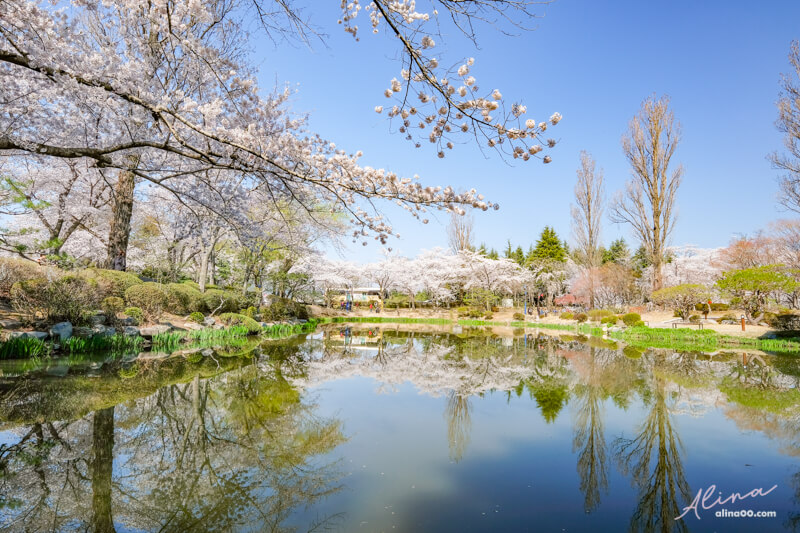【慶州景點】慶州普門觀光園區：慶州塔EXPO公園.普門亭.水車廣場 @Alina 愛琳娜