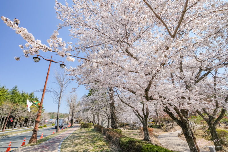 【慶州景點】慶州普門觀光園區：慶州塔EXPO公園.普門亭.水車廣場 @Alina 愛琳娜