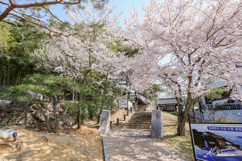 【慶州景點】慶州普門觀光園區：慶州塔EXPO公園.普門亭.水車廣場 @Alina 愛琳娜