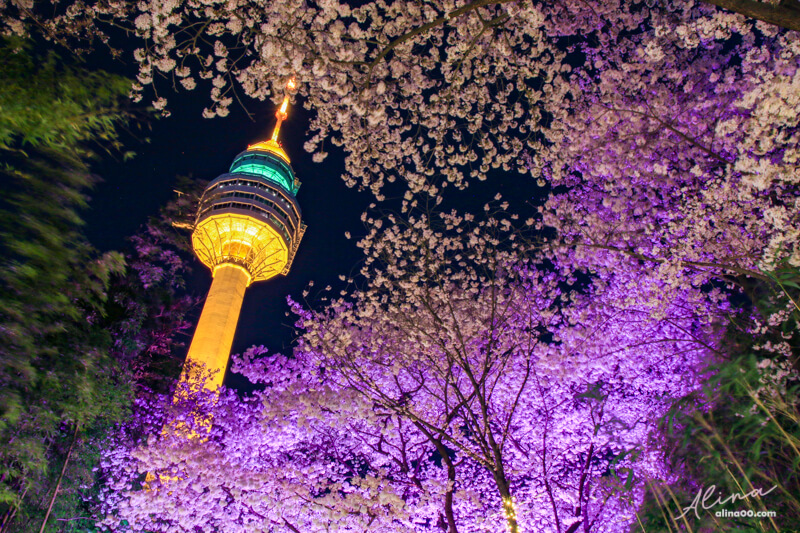 【大邱景點】E-World 大邱83塔:韓國遊樂園+星光櫻花節春季限定 @Alina 愛琳娜 【大邱景點】E-World 大邱83塔:韓國遊樂園+星光櫻花節春季限定 @Alina 愛琳娜