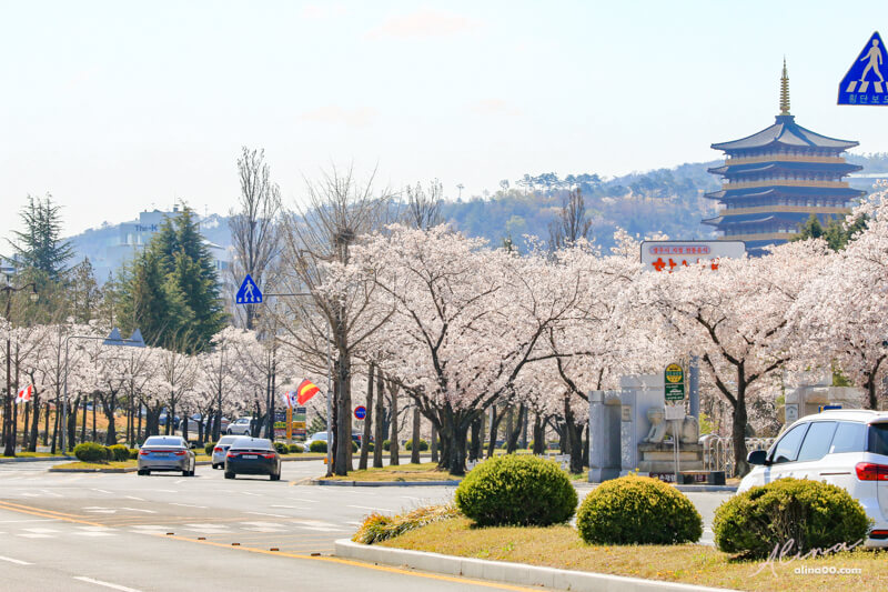 【慶州景點】慶州普門觀光園區：慶州塔EXPO公園.普門亭.水車廣場 @Alina 愛琳娜
