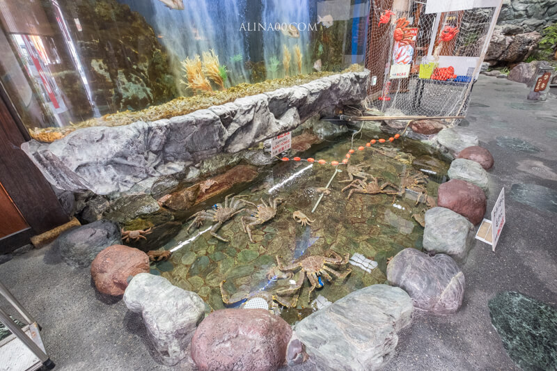 【名古屋美食】札幌蟹本家名古屋 榮中央店｜帝王蟹本家會席料理、螃蟹火鍋一次滿足! @Alina 愛琳娜