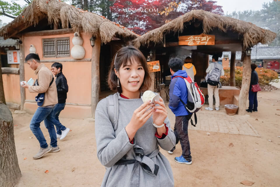 【韓國景點】京畿道 南怡島 一日遊｜經典韓劇景點，首爾出發交通推薦 @Alina 愛琳娜