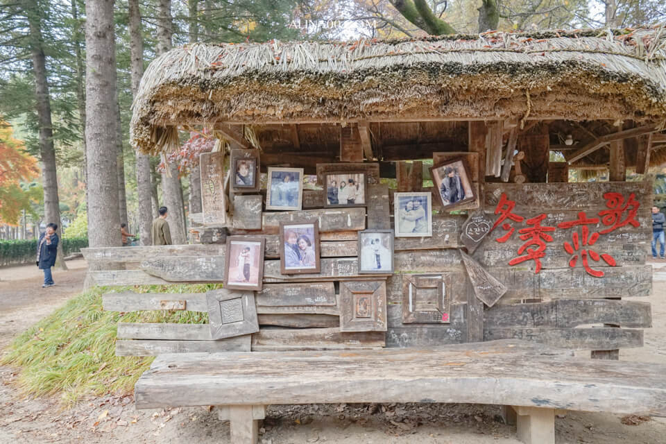 【韓國景點】京畿道 南怡島 一日遊|經典韓劇景點,首爾出發交通推薦 @Alina 愛琳娜 【韓國景點】京畿道 南怡島 一日遊|經典韓劇景點,首爾出發交通推薦 @Alina 愛琳娜