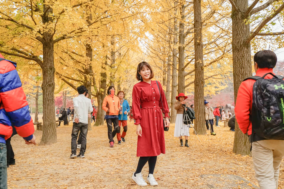 【韓國景點】京畿道 南怡島 一日遊|經典韓劇景點,首爾出發交通推薦 @Alina 愛琳娜 【韓國景點】京畿道 南怡島 一日遊|經典韓劇景點,首爾出發交通推薦 @Alina 愛琳娜