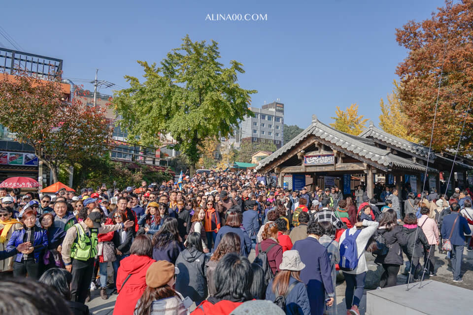 【韓國景點】京畿道 南怡島 一日遊｜經典韓劇景點，首爾出發交通推薦 @Alina 愛琳娜