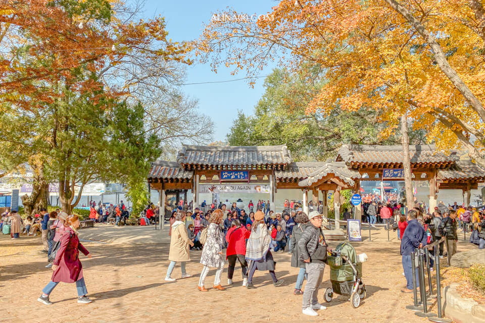 【韓國景點】京畿道 南怡島 一日遊|經典韓劇景點,首爾出發交通推薦 @Alina 愛琳娜 【韓國景點】京畿道 南怡島 一日遊|經典韓劇景點,首爾出發交通推薦 @Alina 愛琳娜