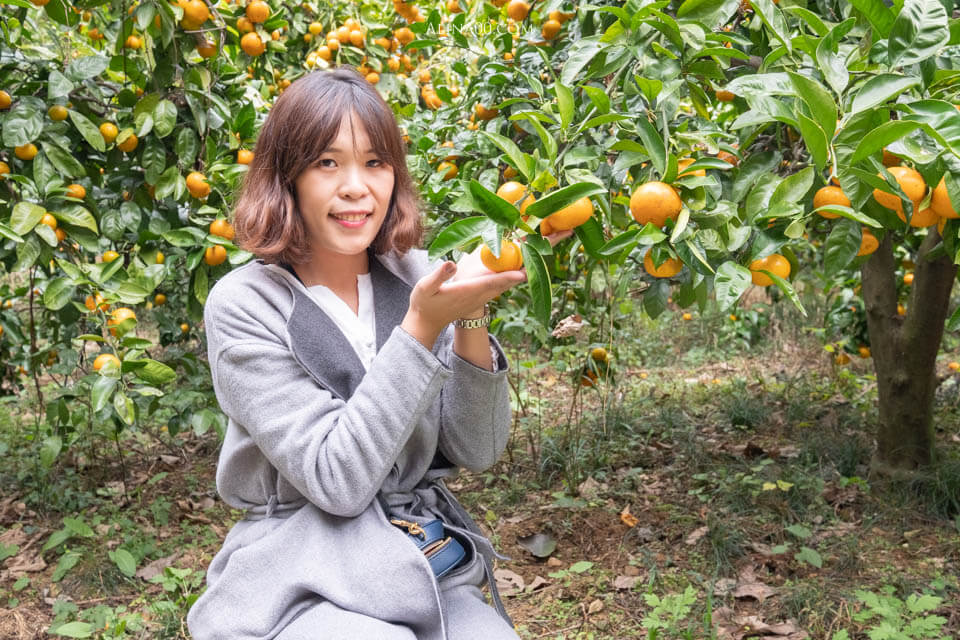 【佐賀農泊體驗】小城-癒しの宿ほのか ｜讓人療癒身心的農家民宿 @Alina 愛琳娜