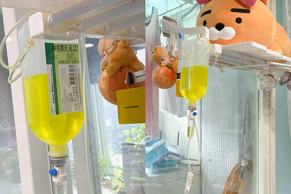 寵物慢性病-狗腎衰竭｜中末期症狀及照顧方式，記錄咪嚕咕1.0生命最後的45天… @Alina 愛琳娜