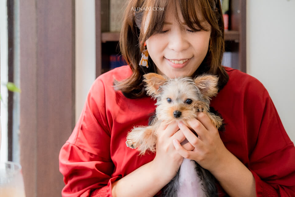 【台北美食】內湖 半夏生 寵物友善咖啡廳｜東湖文青放鬆下午茶店 @Alina 愛琳娜
