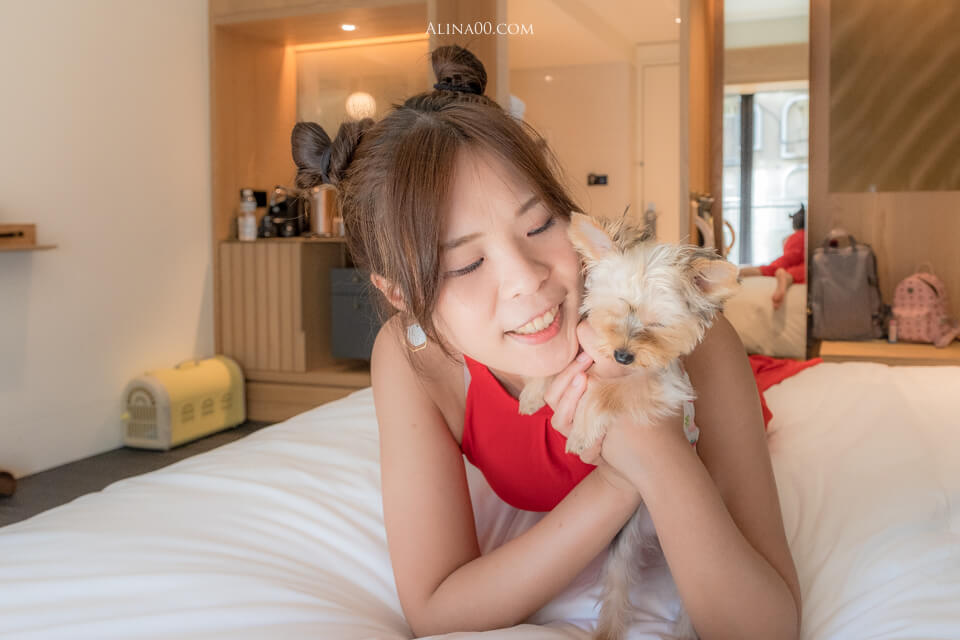 【台北住宿】 金普頓大安酒店 Kimpton Da An｜設計師打造寵物友善飯店 @Alina 愛琳娜