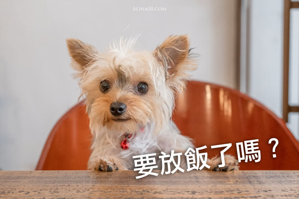 【台北美食】南港-苒冉小食光-輕食甜點|文青寵物友善咖啡廳 @Alina 愛琳娜 【台北美食】南港-苒冉小食光-輕食甜點|文青寵物友善咖啡廳 @Alina 愛琳娜