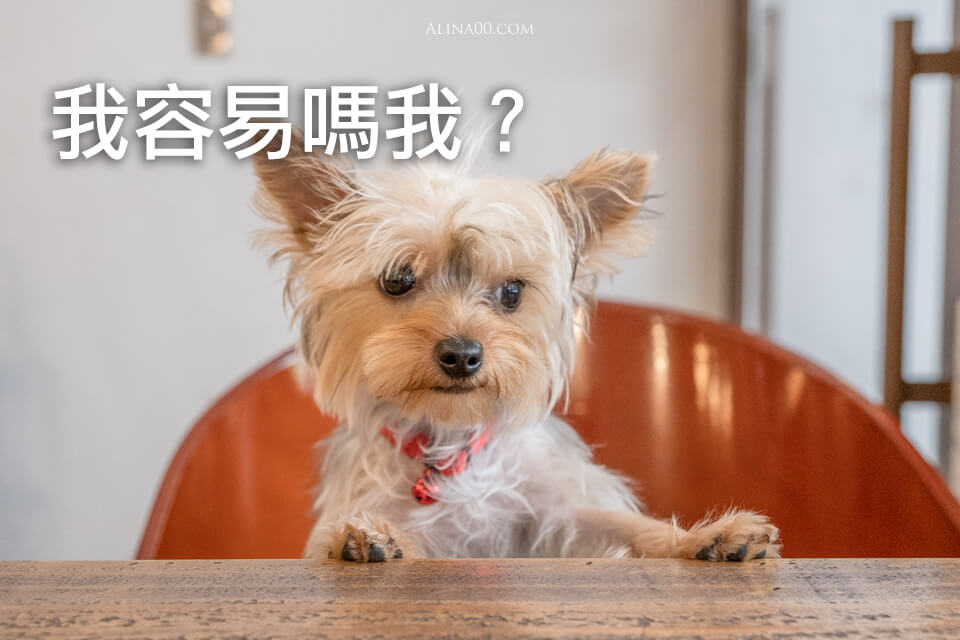 【台北美食】南港-苒冉小食光-輕食甜點|文青寵物友善咖啡廳 @Alina 愛琳娜 【台北美食】南港-苒冉小食光-輕食甜點|文青寵物友善咖啡廳 @Alina 愛琳娜