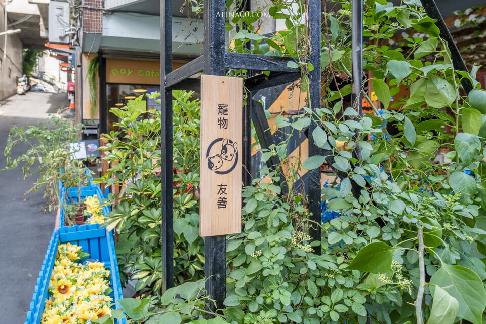 【士林美食】 Day Cafe 天母寵物友善餐廳|狗狗可以落地的輕鬆環境 @Alina 愛琳娜 【士林美食】 Day Cafe 天母寵物友善餐廳|狗狗可以落地的輕鬆環境 @Alina 愛琳娜