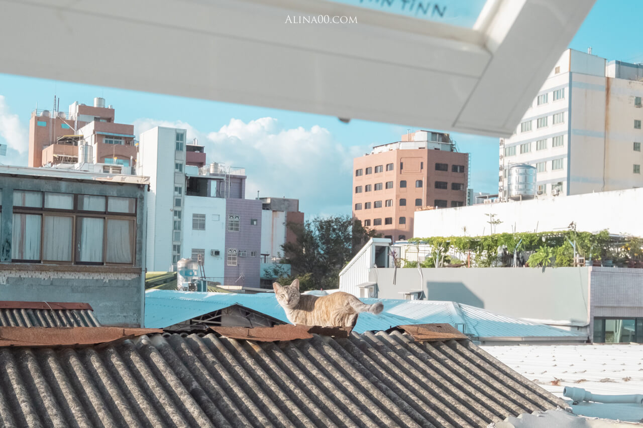 【台東住宿】門廷若室旅店 鐵花村秀泰館｜質感民宿好睡又方便 @Alina 愛琳娜