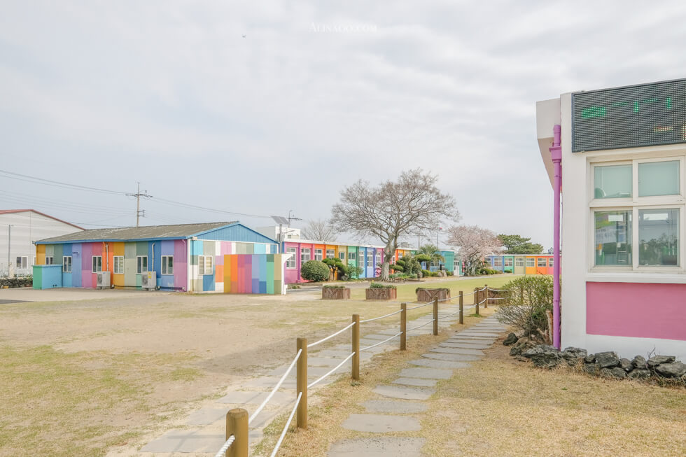 【濟州島景點】彩虹小學 더럭초등학교 七彩繽紛的可愛景點 @Alina 愛琳娜