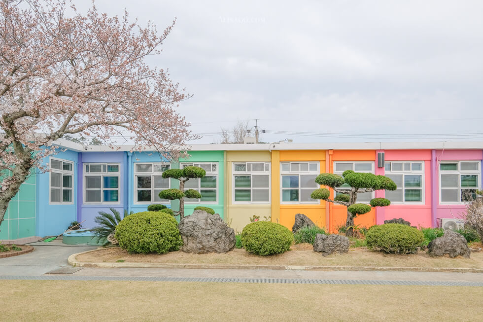 【濟州島景點】彩虹小學 더럭초등학교 七彩繽紛的可愛景點 @Alina 愛琳娜