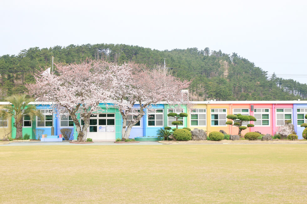 【濟州島景點】彩虹小學 더럭초등학교 七彩繽紛的可愛景點 @Alina 愛琳娜