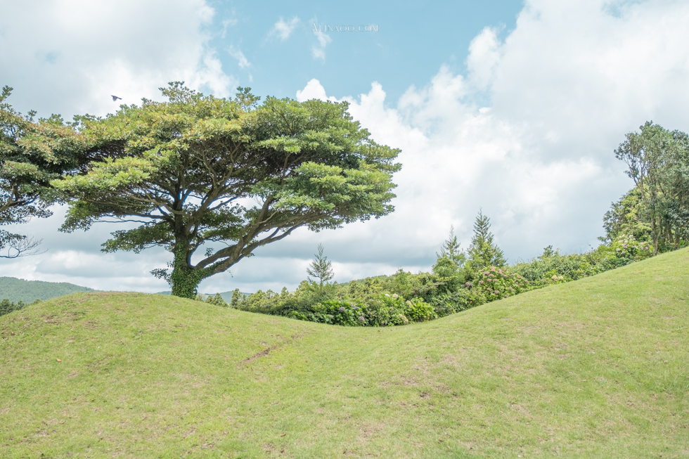 【濟州島景點】濟州島史努比庭園 戶外區+餐廳+周邊商品 @Alina 愛琳娜