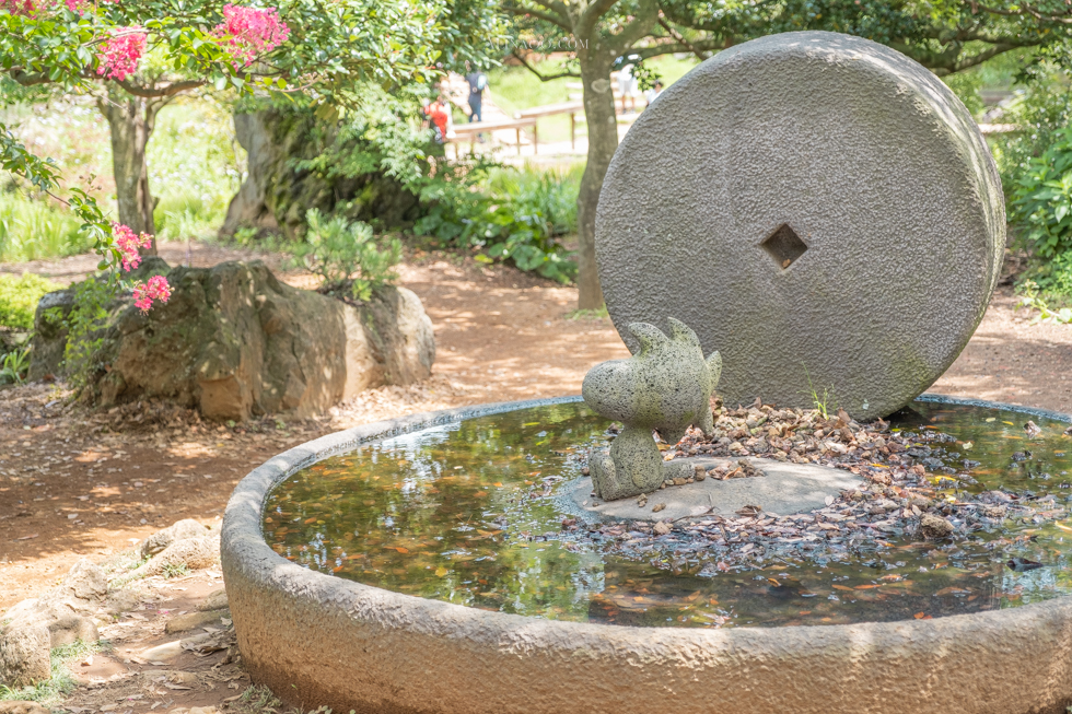 【濟州島景點】濟州島史努比庭園 戶外區+餐廳+周邊商品 @Alina 愛琳娜