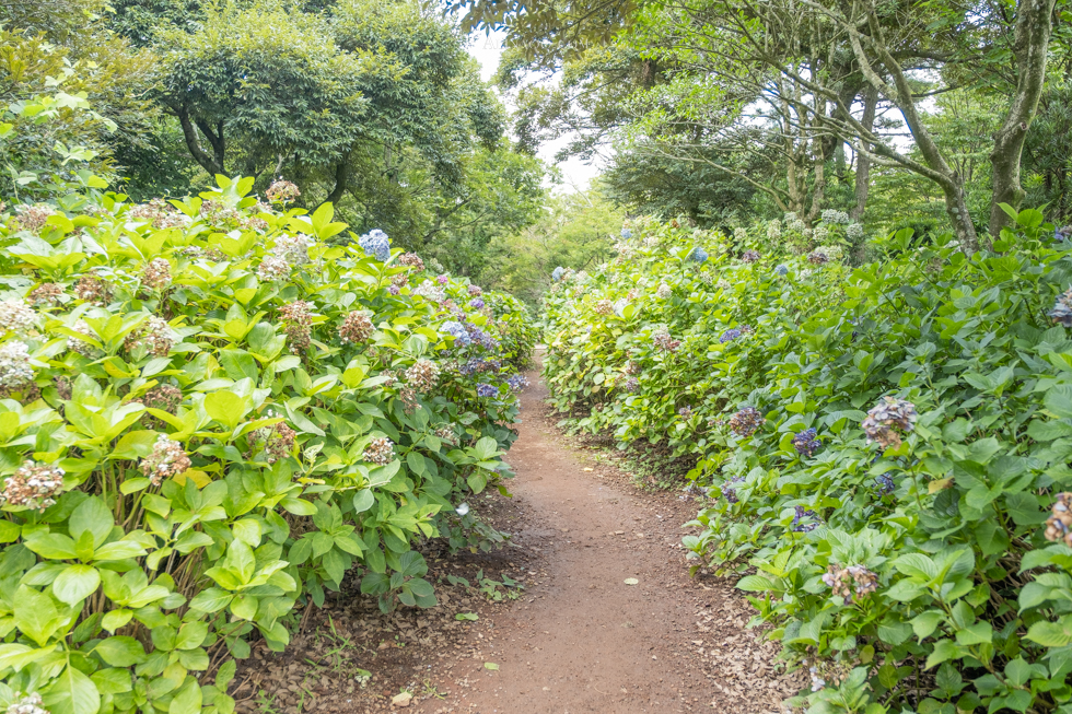 【濟州島景點】濟州島史努比庭園 戶外區+餐廳+周邊商品 @Alina 愛琳娜