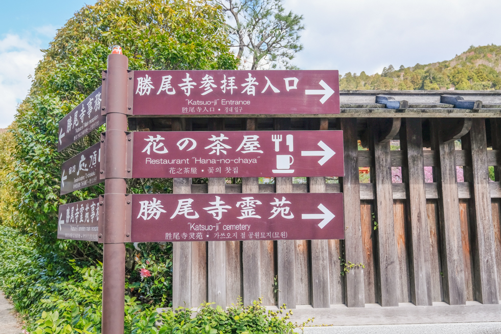 【大阪景點】勝尾寺 達摩不倒翁祈福勝利/公車1班直達交通教學 @Alina 愛琳娜