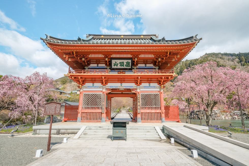 【大阪景點】勝尾寺 達摩不倒翁祈福勝利/公車1班直達交通教學 @Alina 愛琳娜 【大阪景點】勝尾寺 達摩不倒翁祈福勝利/公車1班直達交通教學 @Alina 愛琳娜